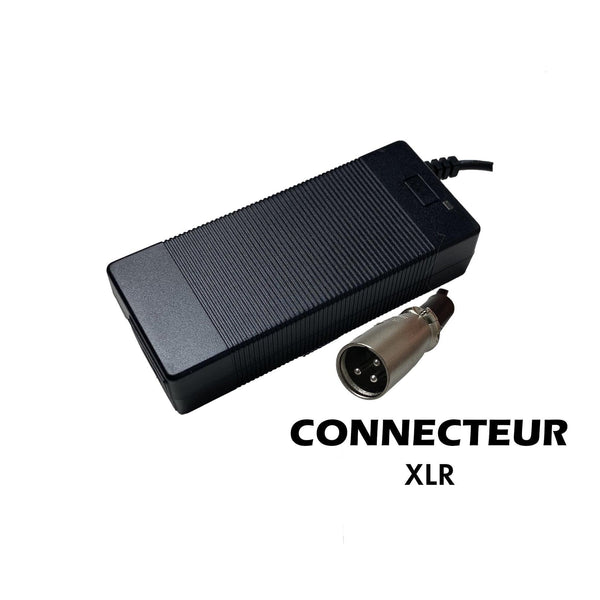 Electrics EDPM Scooter Charger