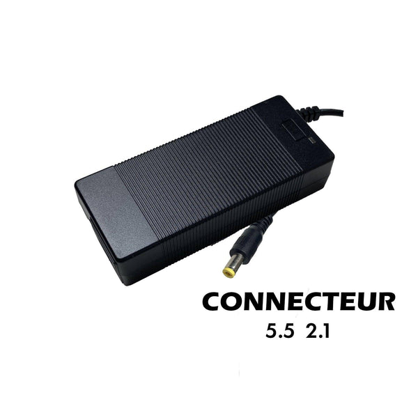 54.6 Volts Scooter Charger
