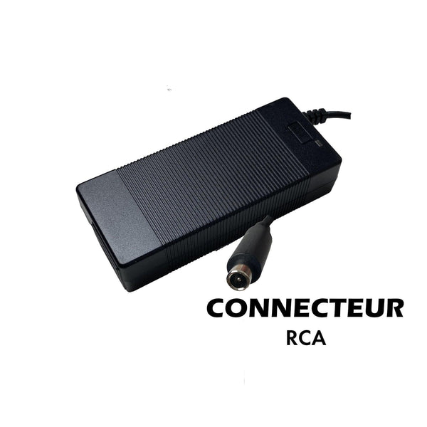 Electrics EDPM Scooter Charger